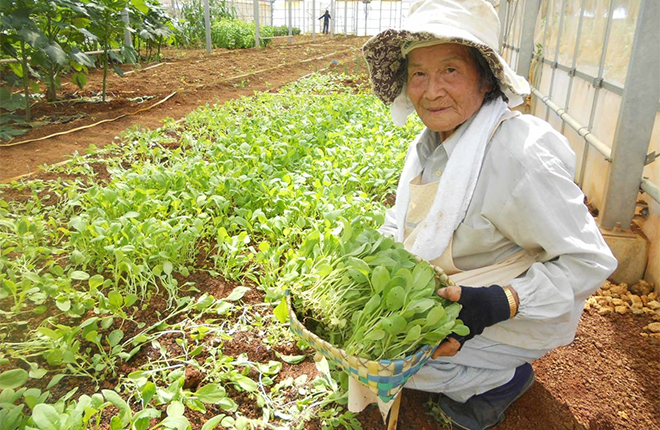タイトルなし