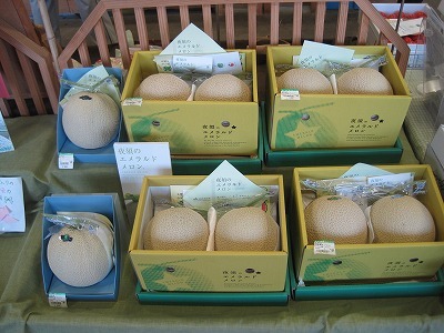 特産エメラルドメロン