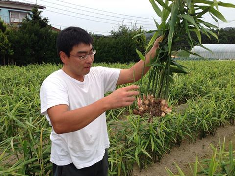 しょうがの収穫と筆者