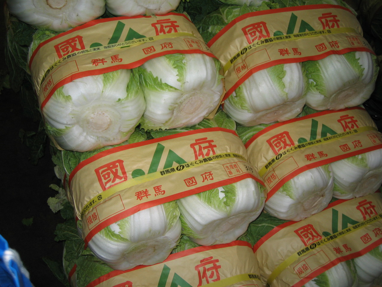 国府白菜