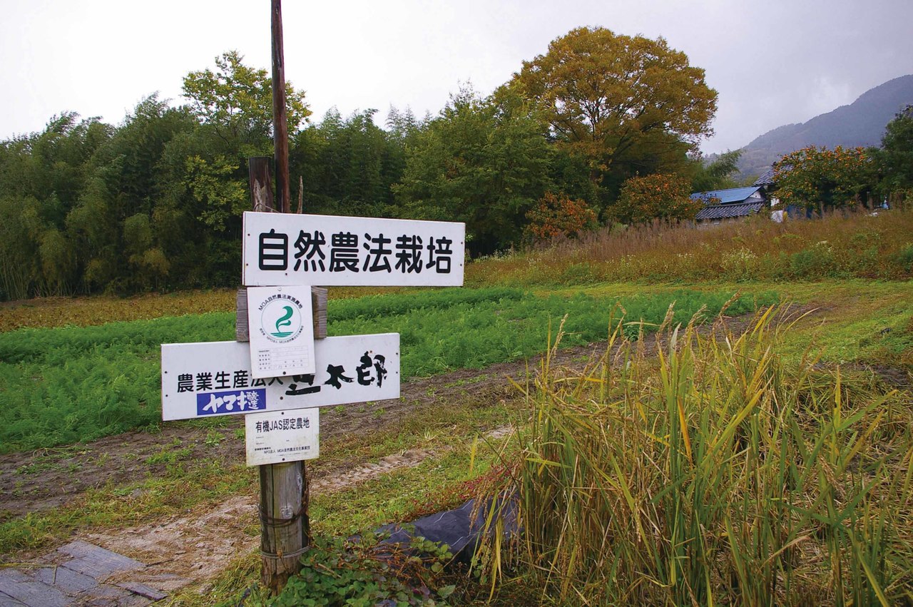  「農業生産法人豆太郎」の圃場