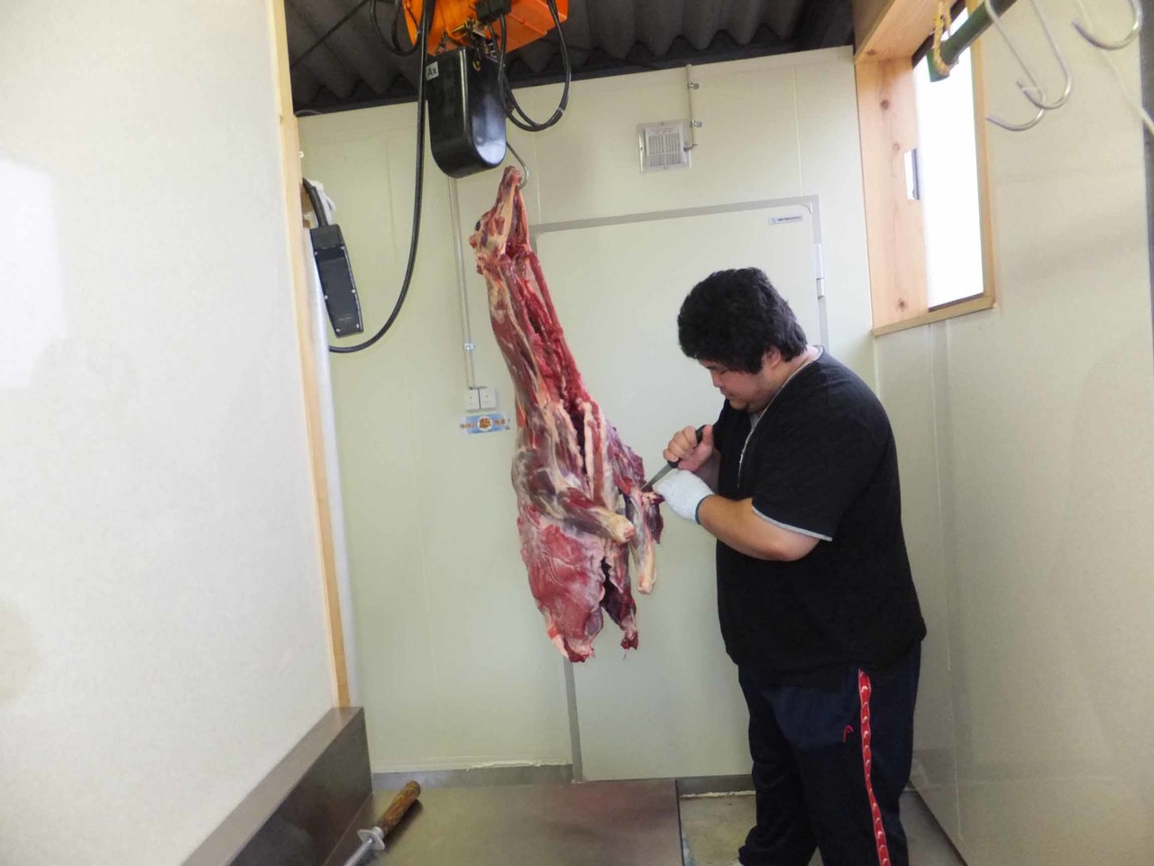 鹿肉を解体中