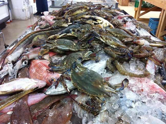  笠岡ＢＦ名物、鮮魚詰め放題販売