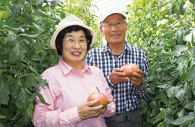 (5)加藤郁雄さん（佐久穂町） ＊トマト、かぼちゃ、じゃがいも 　脱サラして、25年前から農業を始めた加藤さん。当時から土作りにはずっとこだわっていて、肥料は有機質のものと手作りボカシを使っています。手作りのボカシには、カニ殻、菜種カス、魚粉、米ヌカ等を使用しています。