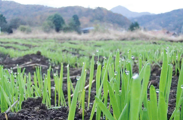 タイトルなし