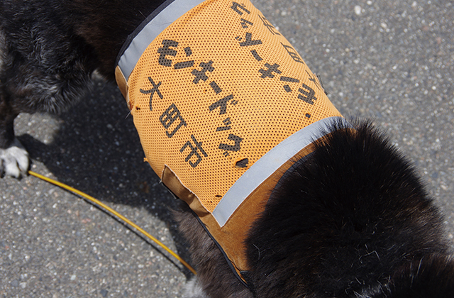タイトルなし