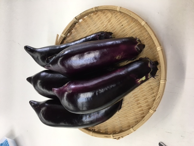 タイトルなし