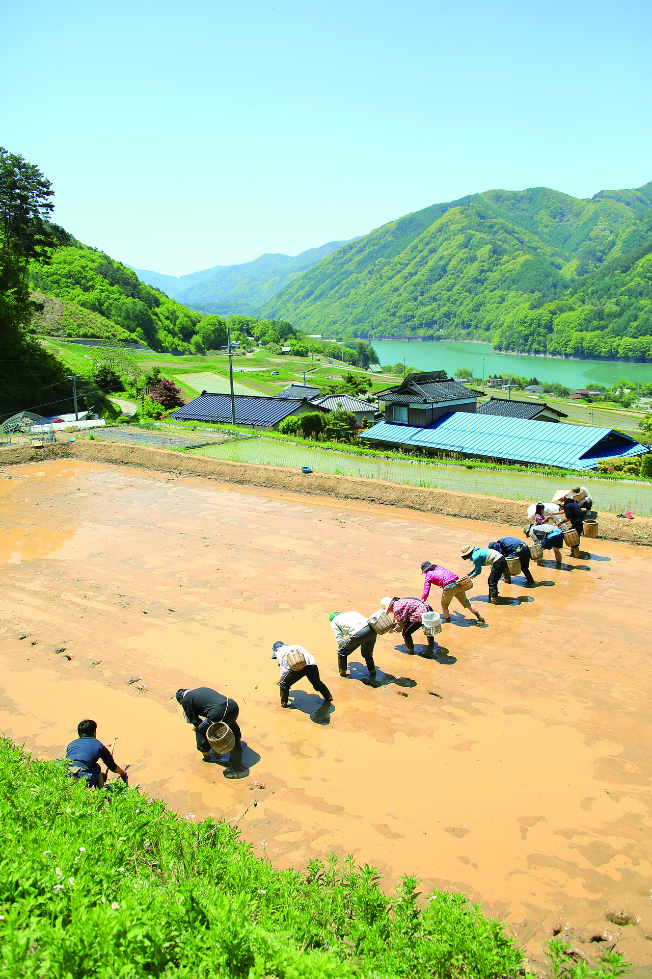 長谷の集落を見渡せる田で高校生と手植えをした