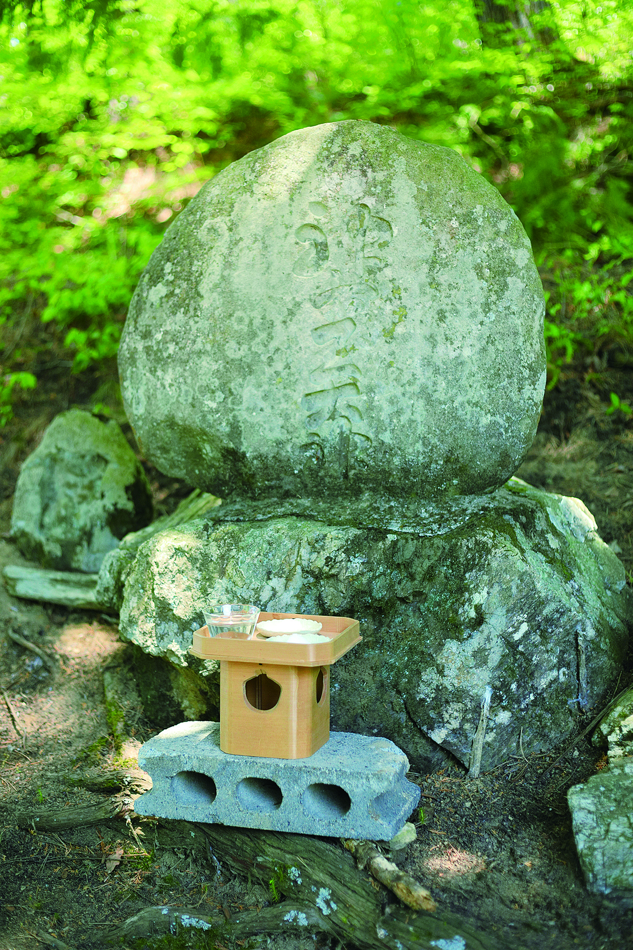 田の近くに鎮守の社もある。地域を見守ってきた神様に五穀豊穣を祈願