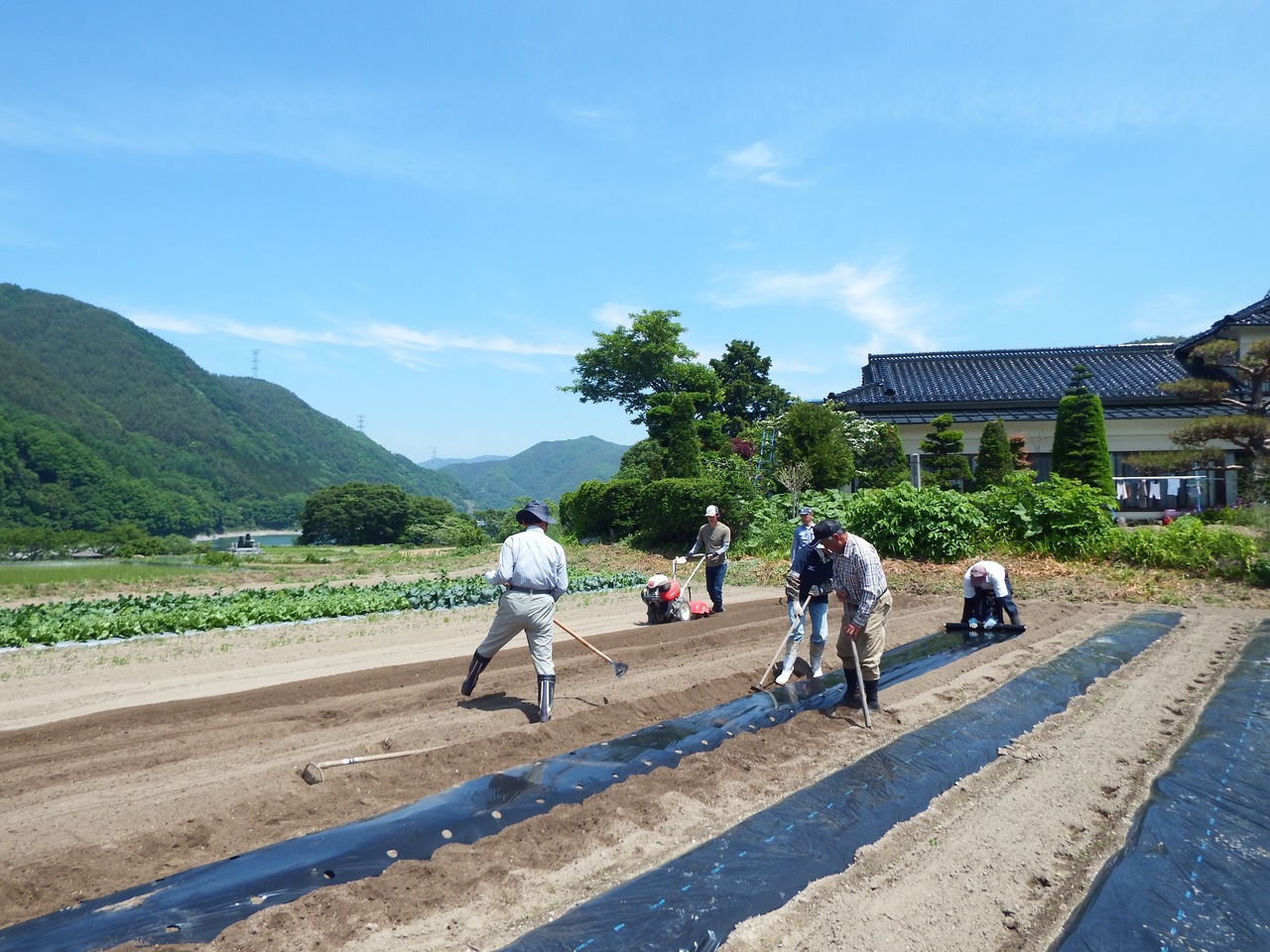 タイトルなし